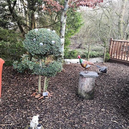 12 Burnside Lodge Auchterarder Zewnętrze zdjęcie
