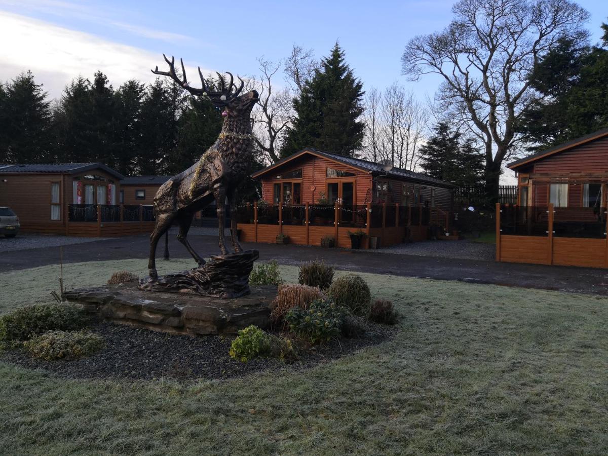 12 Burnside Lodge Auchterarder Zewnętrze zdjęcie